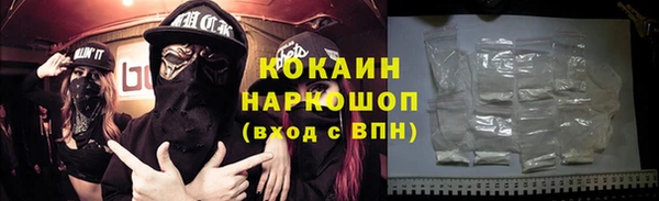 шишки Аркадак
