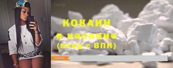 шишки Аркадак