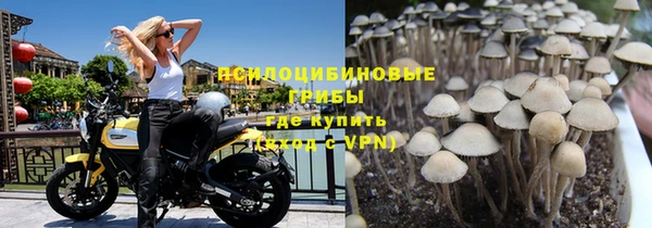 метадон Армянск