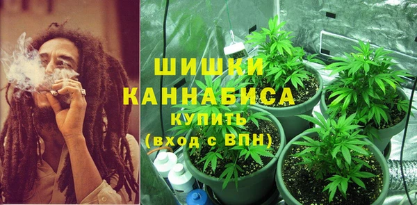 apvp Арсеньев
