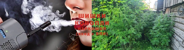 apvp Арсеньев